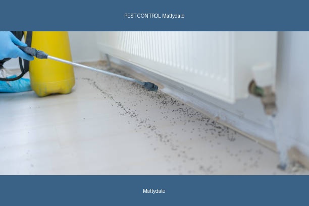 PEST CONTROL Mattydale